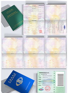 精品AI設計 計算機軟件著作權登記證書PSD模板下載